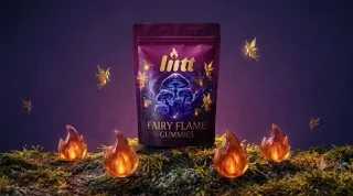 Fairy Flame pouch — enchanted forest hero shot