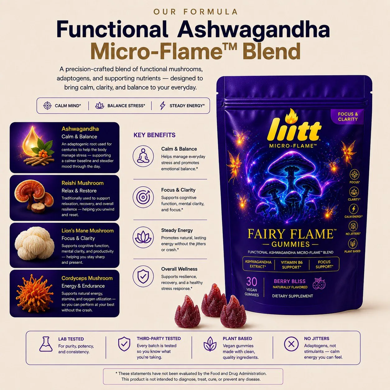 Our formula — ashwagandha, reishi, lion's mane, and cordyceps blend breakdown